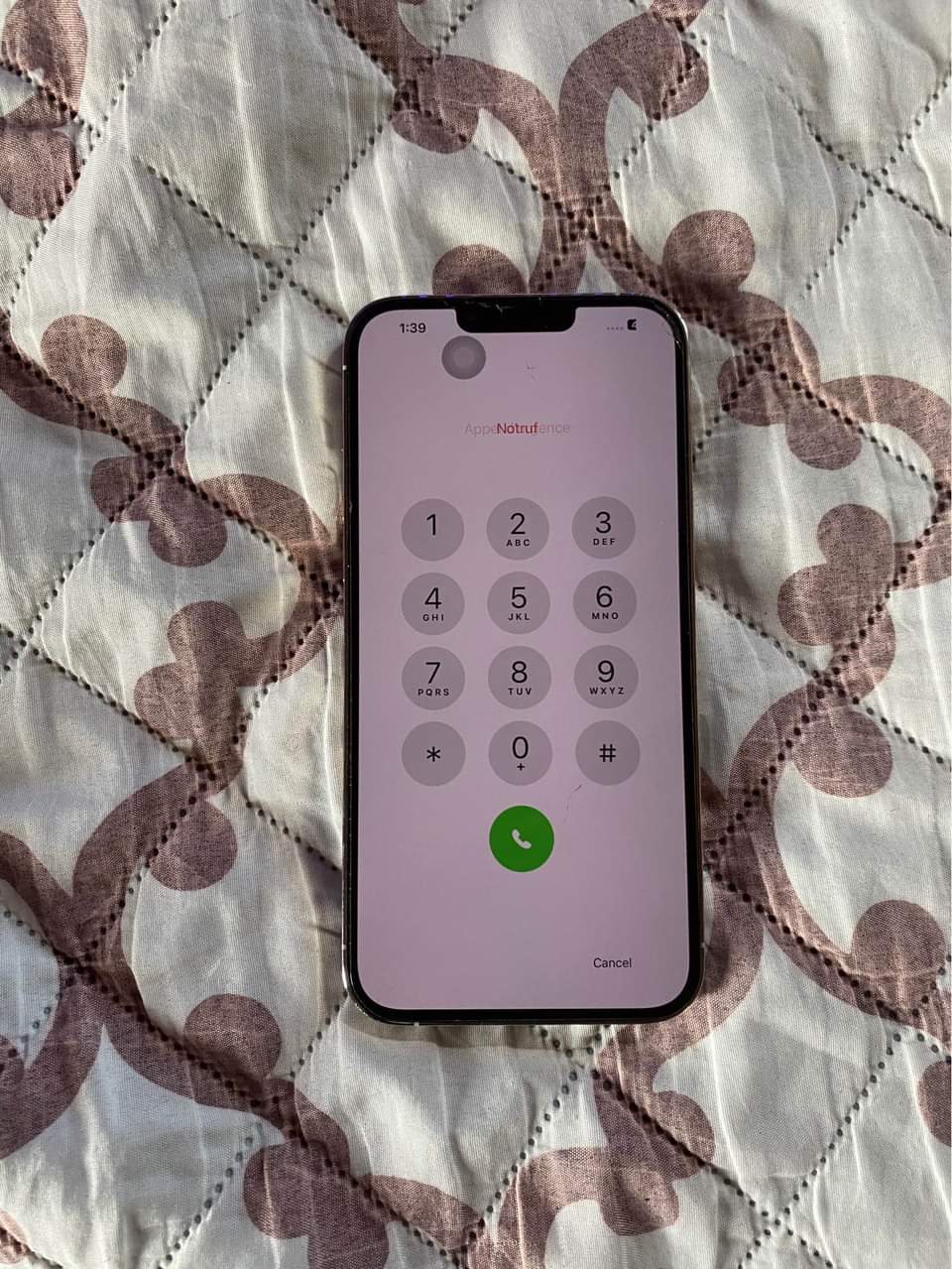 iphone 13pro