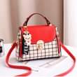 A picture of handbag