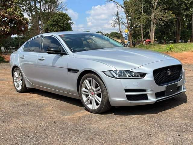 jaguar