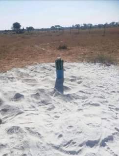 stands