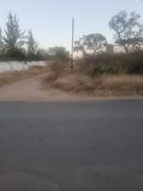 stands