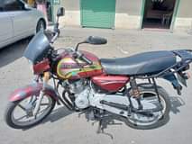 Amoree M.