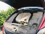 A picture of 2010 Lexus GS