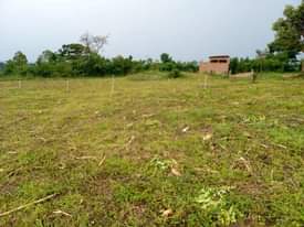 A picture of 0709106274 HOT BRAND NEW ESTATE 50X100 7M UGX THOUGH INSTALLMENT