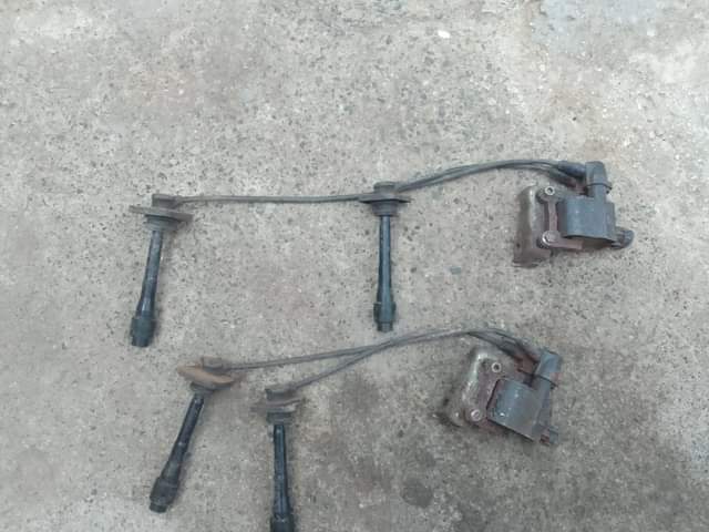 coils