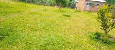 A picture of House on busubuzi deal