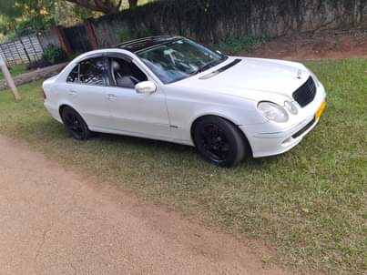 classifieds/cars mercedes