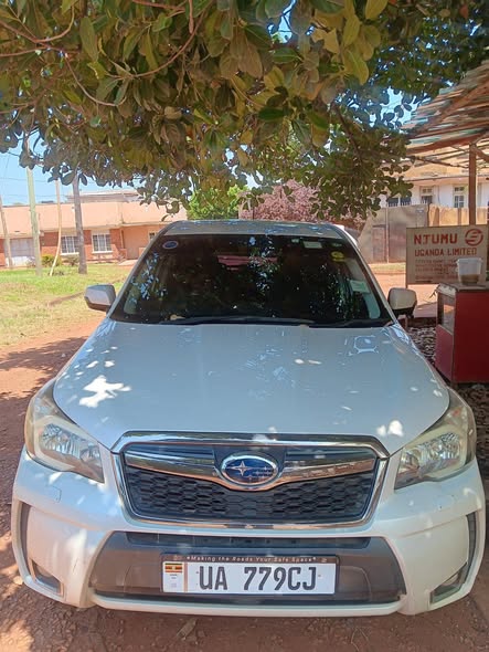 A picture of Subaru Forester