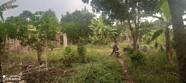 A picture of Plot size 25 80ft in Lugo town 11m only
