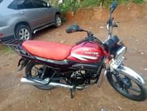 A picture of HUNTER FOR SALE 1 85M Call Or Whatsapp 0772995758 0772995758