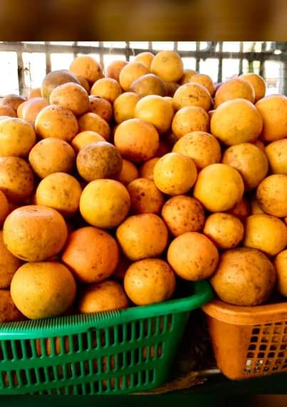 A picture of Pixie oranges seedless