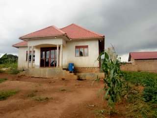 Sseka P.