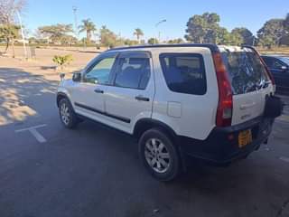 used honda crv