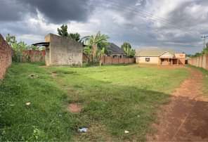 A picture of House for rent