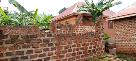 A picture of Nansana naluvule