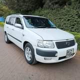 Steve M.