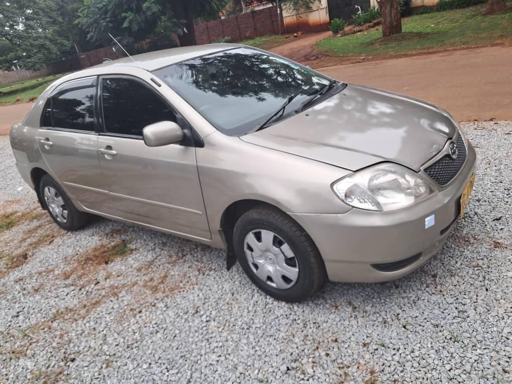 toyota corolla bubble