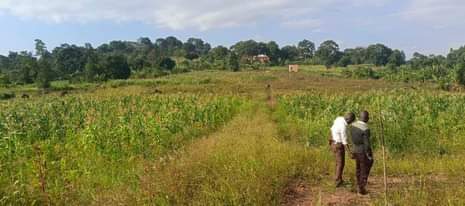 A picture of 50by100ft titled at 13m located at kiwebwa
