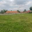 A picture of Land for SALE at UGX100M Slightly NEGOTIABLE location Mityana Rd