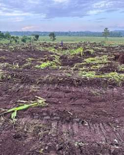 A picture of NEWLY DEVELOPED AFFORDABLE PLOTS FOR SALE IN NAMAYUMBA