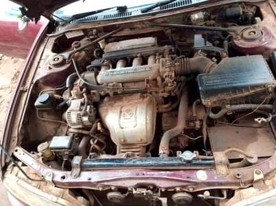 zed cars_under_20pin