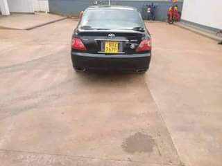 A picture of 2008 Toyota Mark X