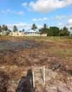 A picture of CHAMAZI MBANDE REAL ESTATE INAWALETEA MILIKI KIWANJA KWA LAKI300 000