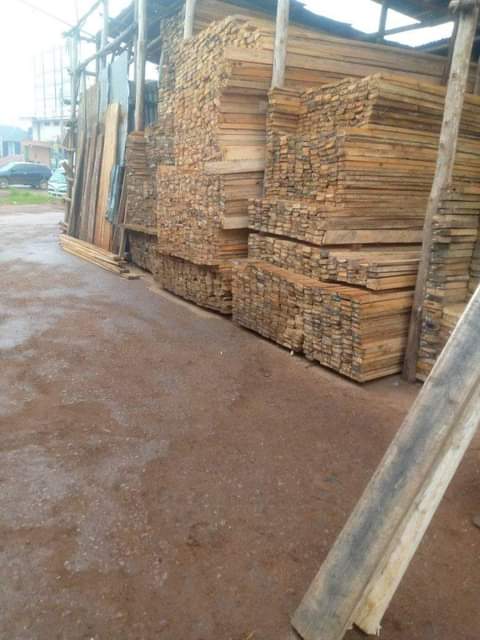 A picture of Timber
