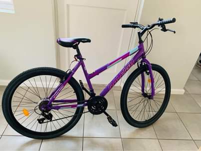 raleigh bicycles