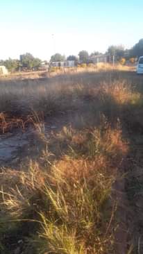 A picture of Stand for sale