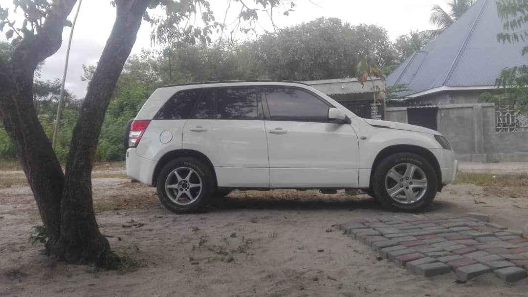 A picture of Suzuki s kubwa