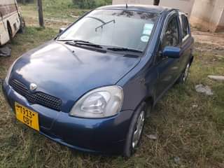 A picture of Vitz