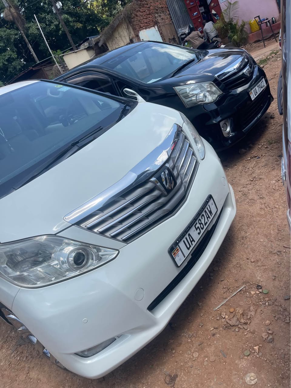 A picture of Alphard