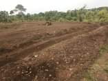 A picture of Matugga Bele estates 100by100ft 17m 100by50ft 8 5 Better accept