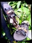 A picture of Unique culture sandals