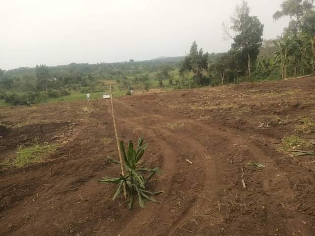 houses matugga