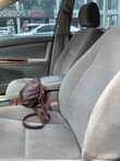 A picture of 2005 model camry big daddy