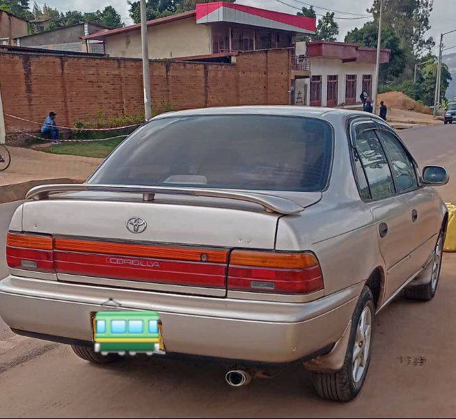 used toyota corolla