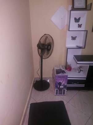A picture of Bed and fan