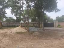 stands