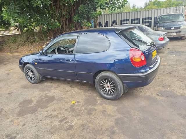 used toyota corolla
