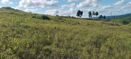 A picture of BUJUUKO TOWN