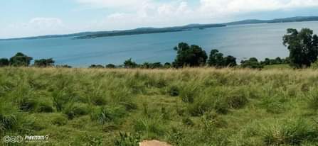A picture of 100 acres of Beach land at BUIKWE