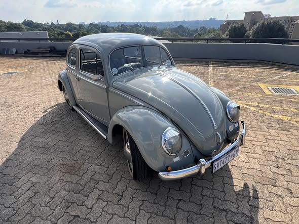 vw beetle