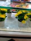 A picture of Flowers