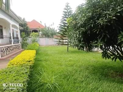 houses entebbe