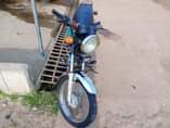 A picture of Omo Raji