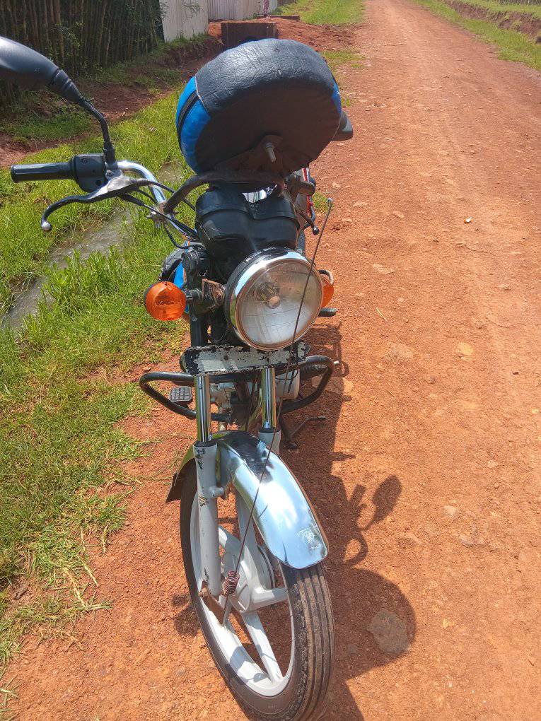 motorbikes