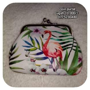 A picture of Coins purses