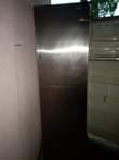 A picture of FRIJI MILANGO 2